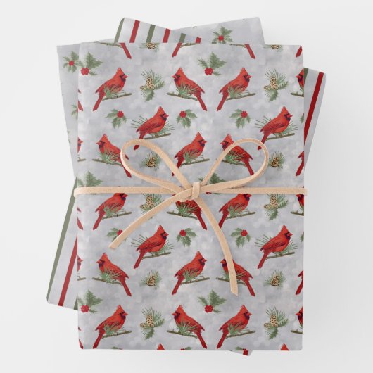 Bladen van winterkardinalen en inpakpapier (In situ)