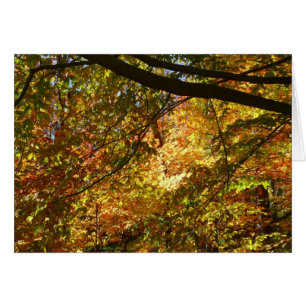 Bladerdak van herfstbladeren I Gele herfst natuur