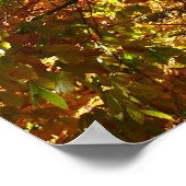 Bladerdak van herfstbladeren I Gele herfst natuur Poster (Hoek)