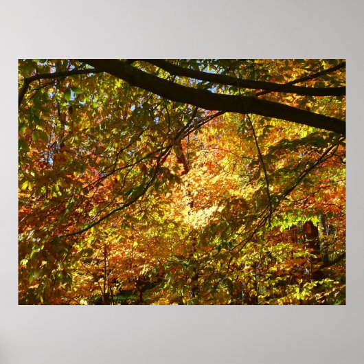Bladerdak van herfstbladeren I Gele herfst natuur Poster (Voorkant)
