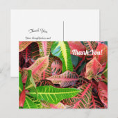 Bladeren 3253 Dank je wel ansichtkaart Briefkaart (Voorkant / Achterkant)