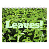 Bladeren! Agenda Kalender (Hoes)