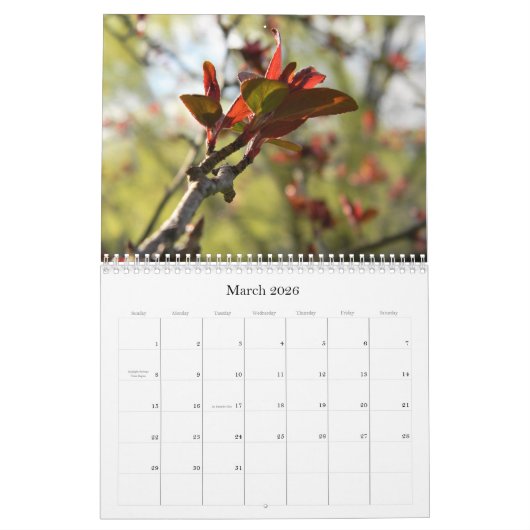 Bladeren! Agenda Kalender (Mar 2026)