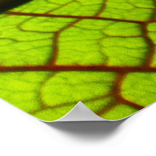 Bladeren bladerbladeren groen poster (Hoek)