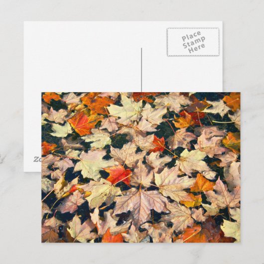 Bladeren, bladeren, bladeren, bladeren briefkaart (Voorkant / Achterkant)