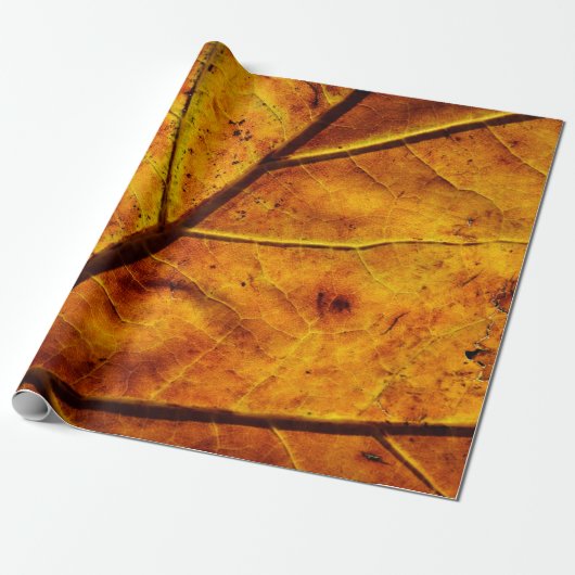 Bladeren bladeren herfst textuur cadeaupapier (Uitgerold)