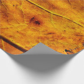 Bladeren bladeren herfst textuur cadeaupapier (Hoek)