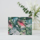  bladeren briefkaart (Staand voorkant)