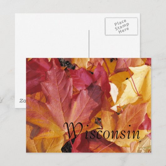 Bladeren Briefkaart (Voorkant / Achterkant)