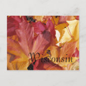 Bladeren Briefkaart (Voorkant)