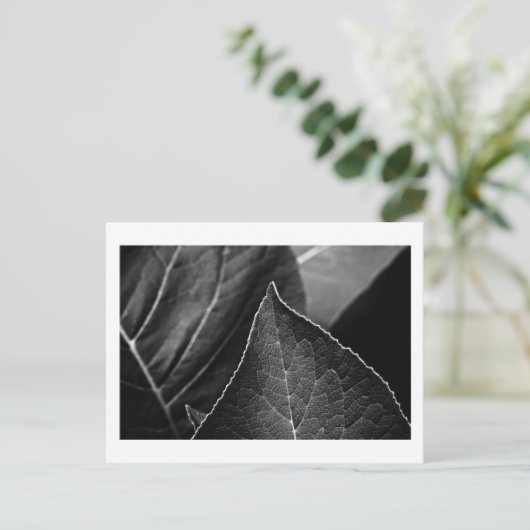 bladeren briefkaart (Staand voorkant)