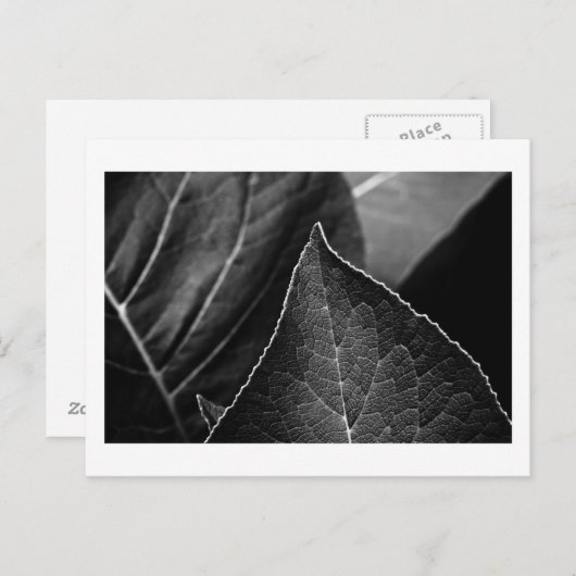 bladeren briefkaart (Voorkant / Achterkant)