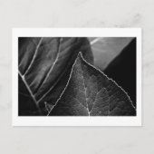 bladeren briefkaart (Voorkant)