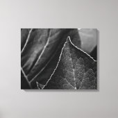 bladeren canvas afdruk (Voorkant)