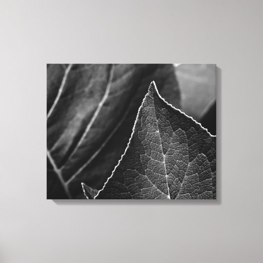 bladeren canvas afdruk (Voorkant)