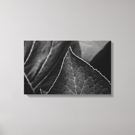 bladeren canvas afdruk (Voorkant)