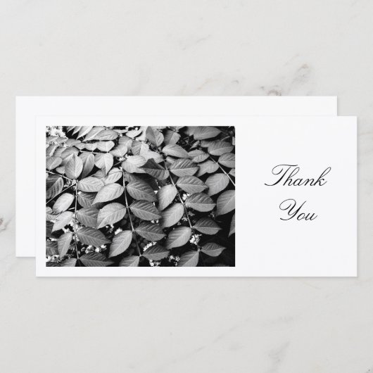 Bladeren - Dank je wel Bedankkaart (Voorkant / Achterkant)