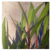 Bladeren en schaduwen tegeltje (Voorkant)