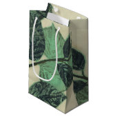 Bladeren en vertakkingen op de achtergrond van Cre Klein Cadeauzakje (Voorkant Gekanteld)