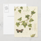 Bladeren en vlinder briefkaart (Voorkant / Achterkant)