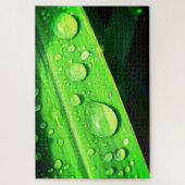 Bladeren en waterdruppels legpuzzel (Verticaal)