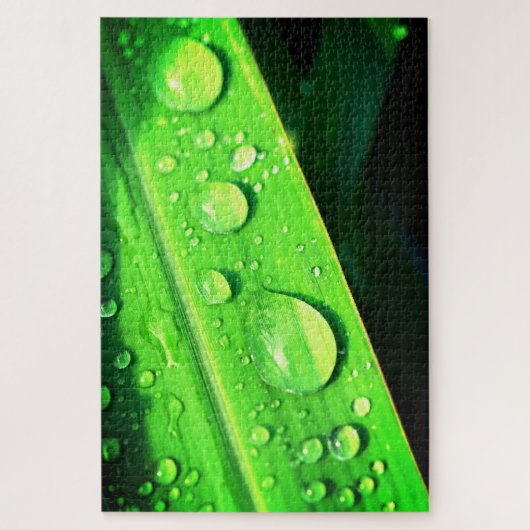 Bladeren en waterdruppels legpuzzel (Verticaal)