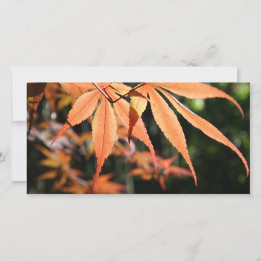 Bladeren in de herfst Sympathie Dank u fotokaart Bedankkaart (Achterkant)