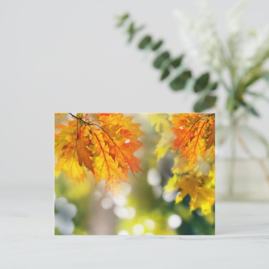 Bladeren in de takken van het herfstbos briefkaart (Staand voorkant)