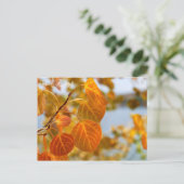 Bladeren in oranje briefkaart (Staand voorkant)