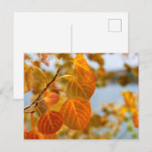 Bladeren in oranje briefkaart (Voorkant / Achterkant)