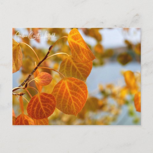 Bladeren in oranje briefkaart (Voorkant)