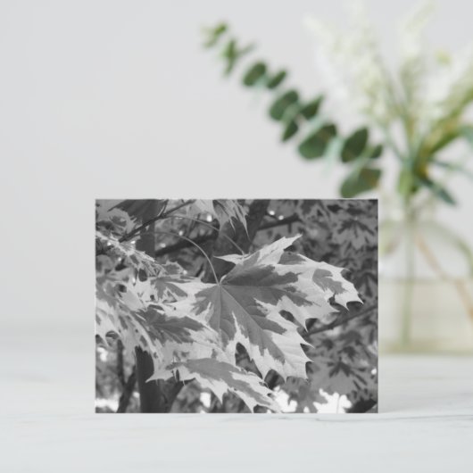 Bladeren in zwart-wit briefkaart (Staand voorkant)
