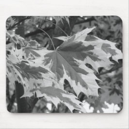 Bladeren in zwart-wit muismat