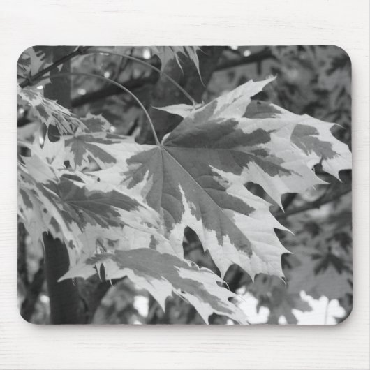Bladeren in zwart-wit muismat (Voorkant)