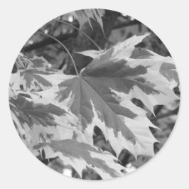 Bladeren in zwart-wit ronde sticker