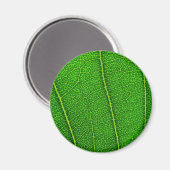 bladeren magneet (Voorkant / Achterkant)