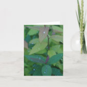 Bladeren met dauw kaart (Voorkant)