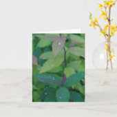 Bladeren met dauw kaart (Gele Bloem)