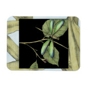 Bladeren met Dragonfly-ingang door Jennifer Goldbe Magneet (Horizontaal)