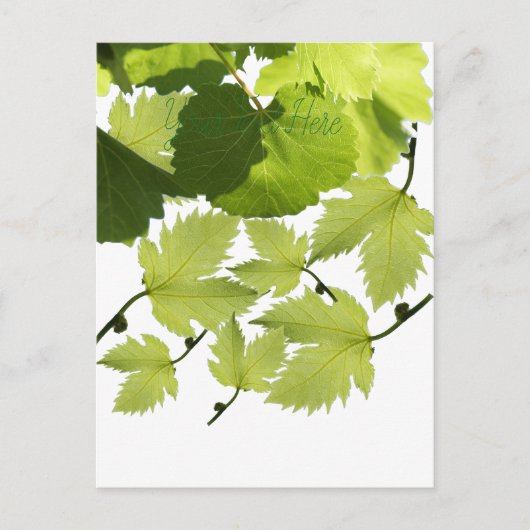 Bladeren met druivenwijn briefkaart (Voorkant)