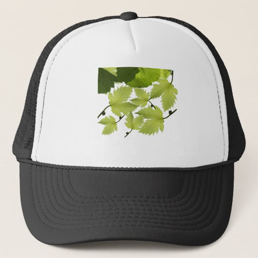 Bladeren met druivenwijn trucker pet (Voorkant)