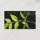 Bladeren met waterdruppels visitekaartje (Achterkant)