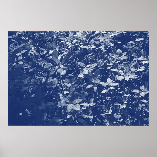 Bladeren met zonlicht - Cyanotype-effect Poster (Voorkant)