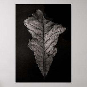 Bladeren nr. 5 poster