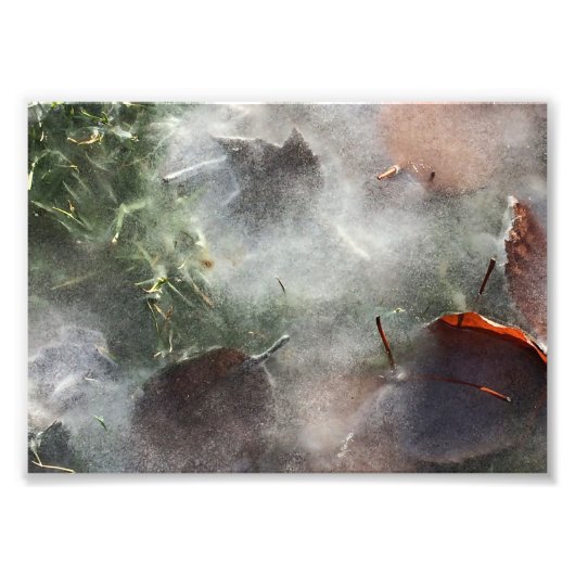 Bladeren onder ijs foto afdruk (Voorkant)