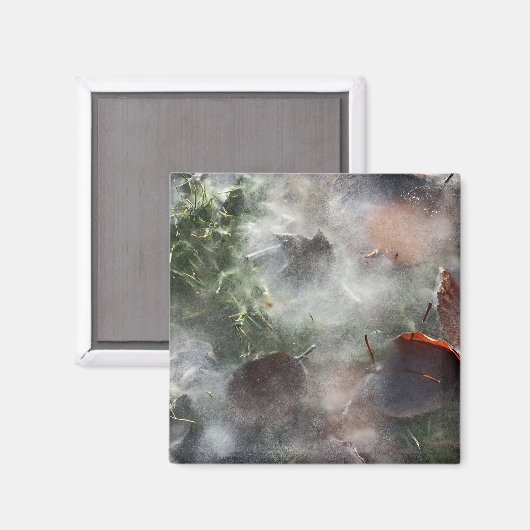 Bladeren onder ijs magneet (Voorkant / Achterkant)