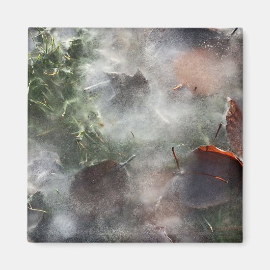 Bladeren onder ijs magneet (Voorkant)