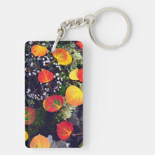 Bladeren op een korstbedekte rots, Rocky Mountains Sleutelhanger (achterkant)