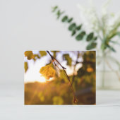 Bladeren op zonsondergang briefkaart (Staand voorkant)