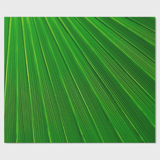 Bladeren plant achtergrond palm groen cadeaupapier (Vlak)